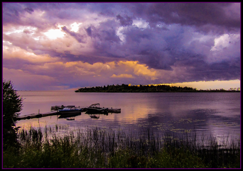 Strut by MaryAnne Rocan